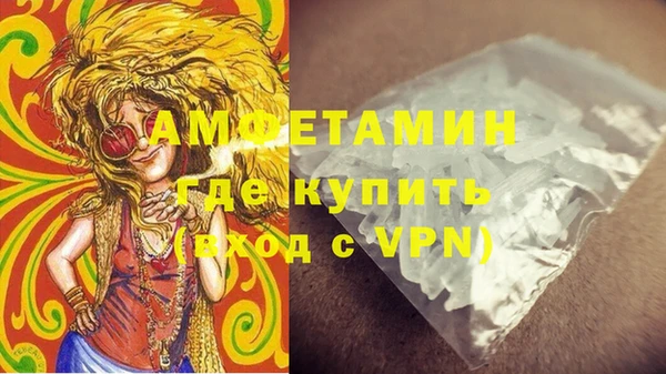 ПСИЛОЦИБИНОВЫЕ ГРИБЫ Богданович