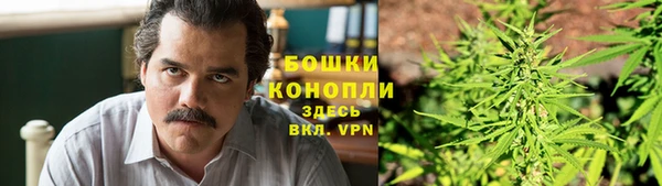 сатива Богородск