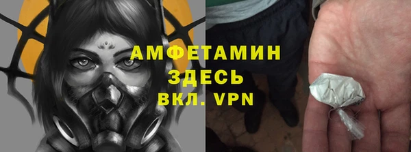 сатива Богородск