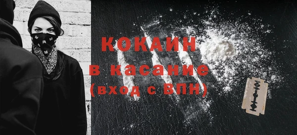 ПСИЛОЦИБИНОВЫЕ ГРИБЫ Богданович