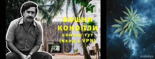 ПСИЛОЦИБИНОВЫЕ ГРИБЫ Богданович