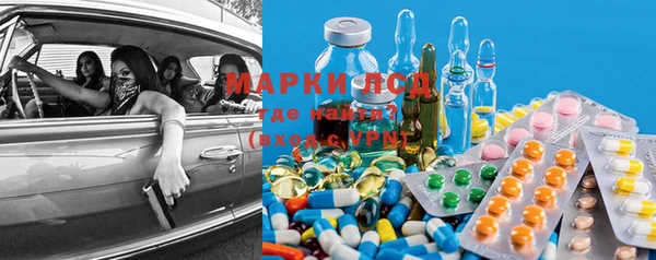 ПСИЛОЦИБИНОВЫЕ ГРИБЫ Богданович