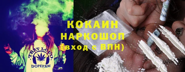 ПСИЛОЦИБИНОВЫЕ ГРИБЫ Богданович