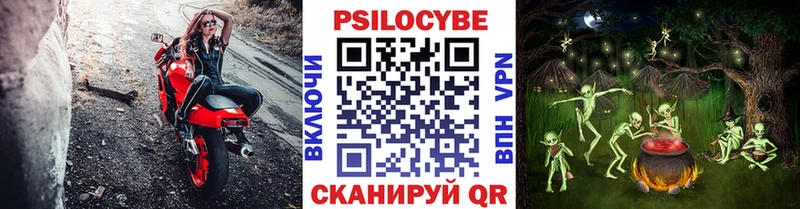 Псилоцибиновые грибы Cubensis  hydra рабочий сайт  Туапсе 